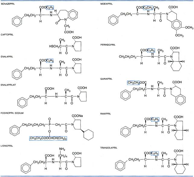 natural equivalent lisinopril