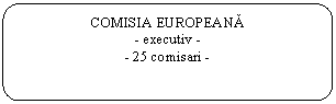 Rounded Rectangle: COMISIA EUROPEANA 
- executiv - 
- 25 comisari - 
