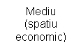 Text Box: Mediu
(spatiu economic)
