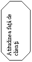 Octagon: Atitudinea fata de clienti

