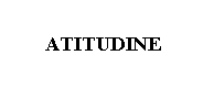 Text Box:   
      ATITUDINE
