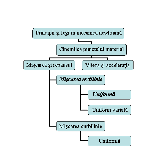 Organization Chart