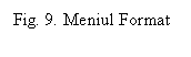 Text Box: Fig. 9. Meniul Format