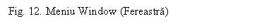Text Box: Fig. 12. Meniu Window (Fereastra)

