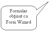 Rounded Rectangular Callout: Formular obtinut cu Form Wizard