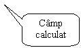 Rounded Rectangular Callout: Camp calculat