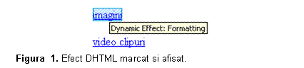 Text Box:  
Figura  6. Efect DHTML marcat si afisat.
