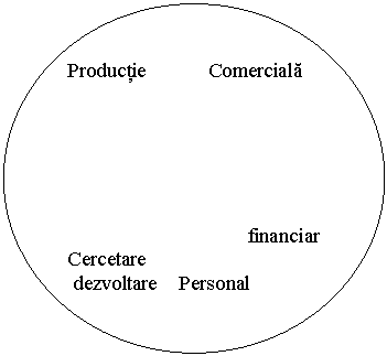 Oval: Productie Comerciala






 financiar
Cercetare 
 dezvoltare Personal 
 
