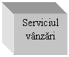 Text Box: Serviciul vanzari