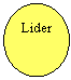 Oval: Lider