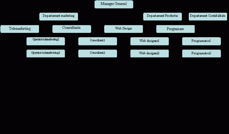 Organization Chart