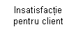 Text Box: Insatisfactie pentru client