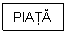 Text Box: PIATA