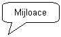 Rounded Rectangular Callout: Mijloace