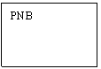 Text Box: PNB