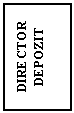 Text Box: DIRECTOR DEPOZIT