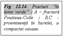 Text Box: Fig 12.14. Fracturi 