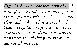 Text Box: Fig. 14.2. Sa turceasca normala : 1 - apofize clinoide anterioare ; 2 - lama patrulatera ; 3 - sinus sfenoidal ; 4 - plan sfenoid ; 5 - baza etajului mijlociu a bazei craniului ; a - diametrul antero-posterior sau diafragmul selar ; b - diametrul vertical.

