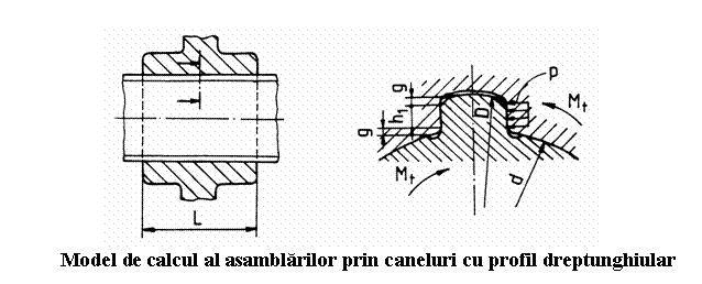 Text Box: 
 Model de calcul al asamblarilor prin caneluri cu profil dreptunghiular
